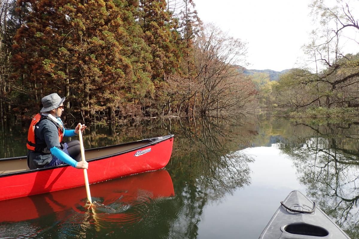 Canoe Tour of Shirakami Sanchi Great River Canoe Tour of Shirakami Sanchi Great River