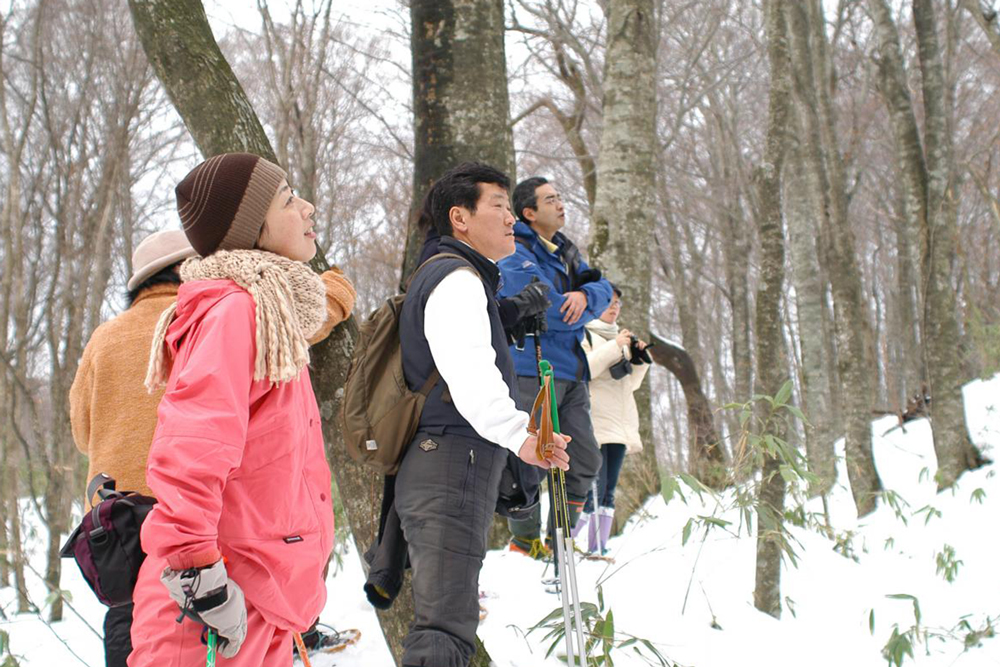 snow shoes and hike through the Juniko Forest in Tsugaru National Park