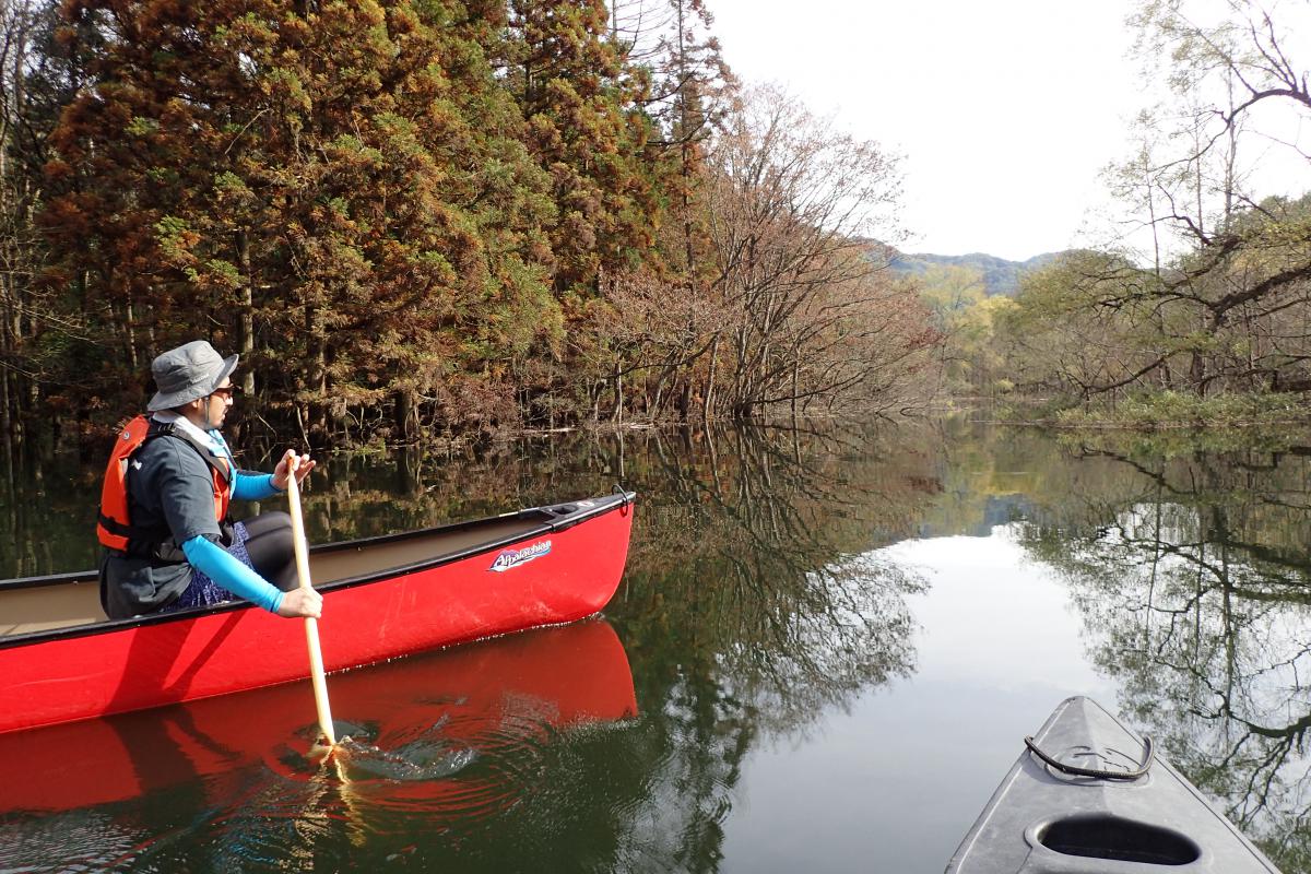 津轻白神湖（大川）、皮划艇游览