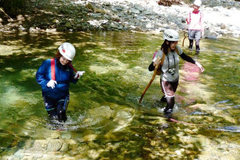 Pleasure Walks and Swimming in Shirakami’s Rivers