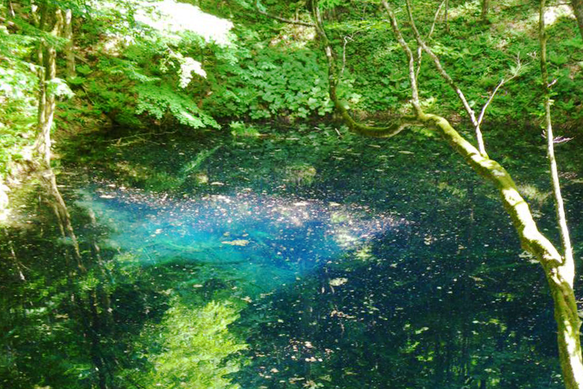 环游十二湖33湖（春季~秋季旅游项目）