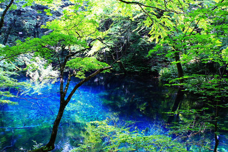 It’s like CG! A pure blue pond in Aomori “Aoike” is super mysterious!