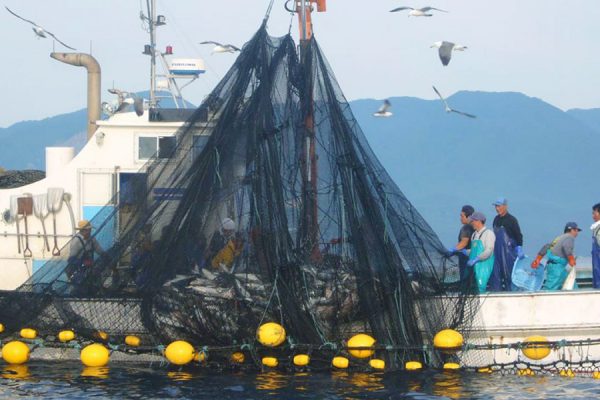 Living with Shirakami Series: Fishing in the Shirakami Sea (Fukaura)