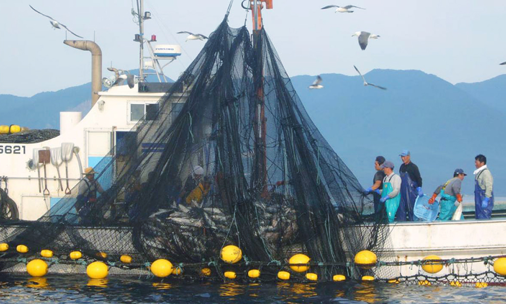 Living with Shirakami Series: Fishing in the Shirakami Sea (Fukaura)